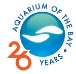 Aquarium of the Bay - 26 Years