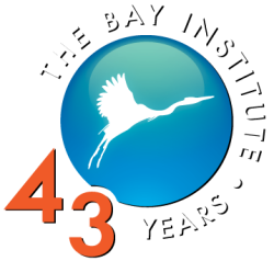 The Bay Institute, 43 Years